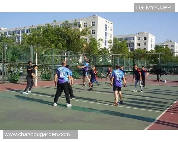 重庆排球队团队协作引发热议球员间配合与默契的争论不断升级