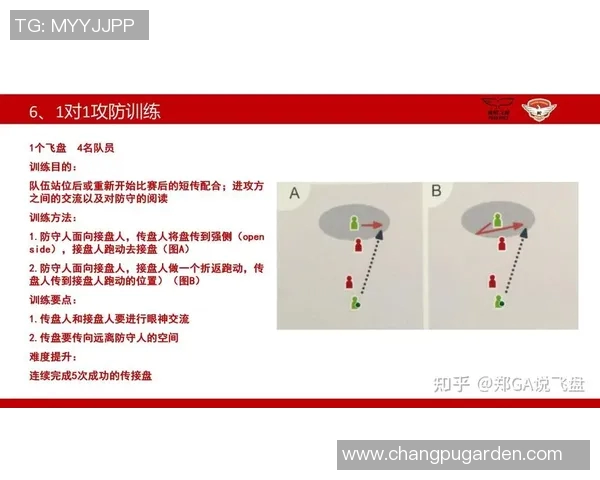 飞盘热潮下的杭州飞盘队战术解析与阵地布局探讨