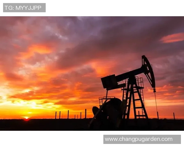 化工行业创新发展趋势与技术突破的深度分析与展望