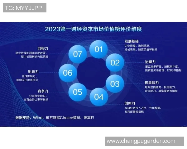 提升企业竞争力与创新能力的关键策略与实施路径分析