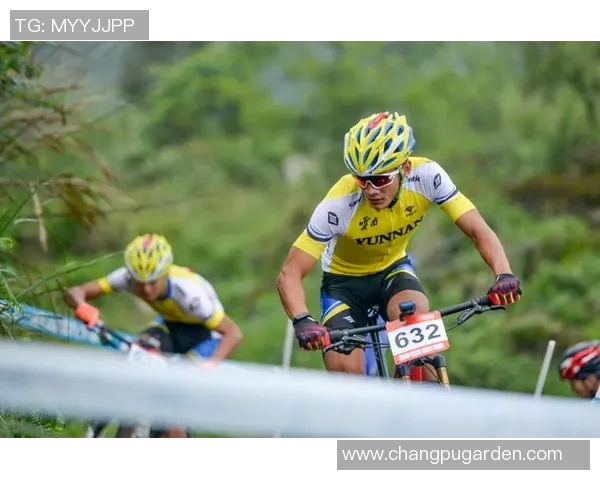 骑行新时代：探索自行车在现代城市交通中的绿色转型与未来发展趋势